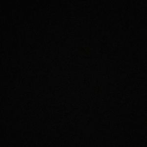 Meet your Posher, Desirae